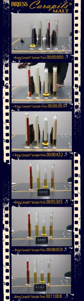 Case Study performed by Dan Bies, Briess Technical Service Rep & Pilot Brewer, illustrating Briess Carapils® in four beer applications. Carapils® is very effective in improving body, foam development, head retention, and lace. Even after 11 minutes, beer that uses Briess Carapils® maintains a partial frothy foam.